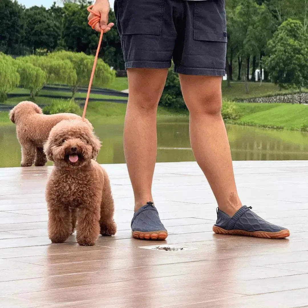 Grey barefoot walking shoes worn outdoors beside a dog